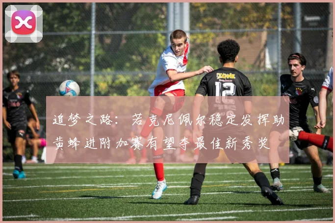 追梦之路：若克尼佩尔稳定发挥助黄蜂进附加赛有望夺最佳新秀奖