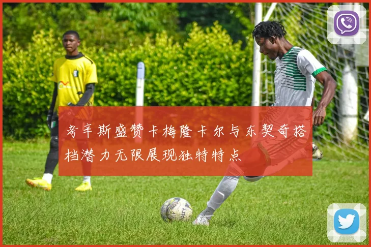 考辛斯盛赞卡梅隆卡尔与东契奇搭档潜力无限展现独特特点